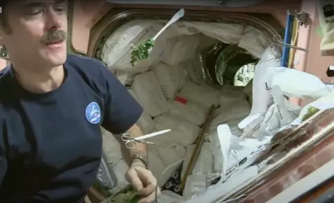 NASA Canadian astroanut Chris Hadfield on board the international space station about to gulp a green vegetable floating towards him on a spoon
