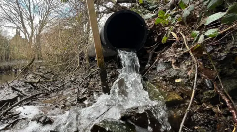 A black pipe with water gushing out of it into a stream. The water is clear and is falling on the muddly ground.