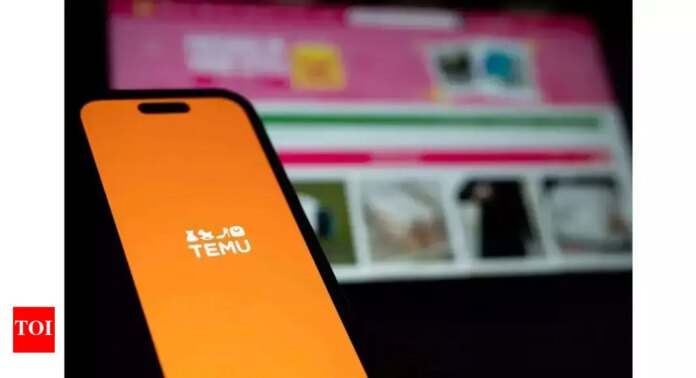 Temu-halts-shipping-goods-from-China-directly-to-US-customers.jpg