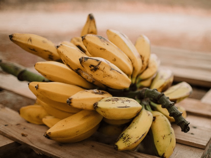 The fiber and natural sugars in bananas can affect the digestive system of some individuals. Eating them on an empty stomach may lead to issues such as gas, bloating, or acidity. (News18 Marathi) The fiber and natural sugars in bananas can affect the digestive system of some individuals. Eating them on an empty stomach may lead to issues such as gas, bloating, or acidity. (News18 Marathi)
