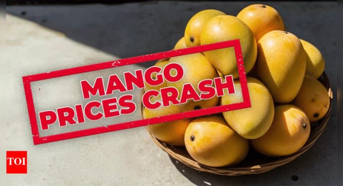Centre-state-mango-relief-Karnataka-farmers-to-be-paid-for-price.jpg
